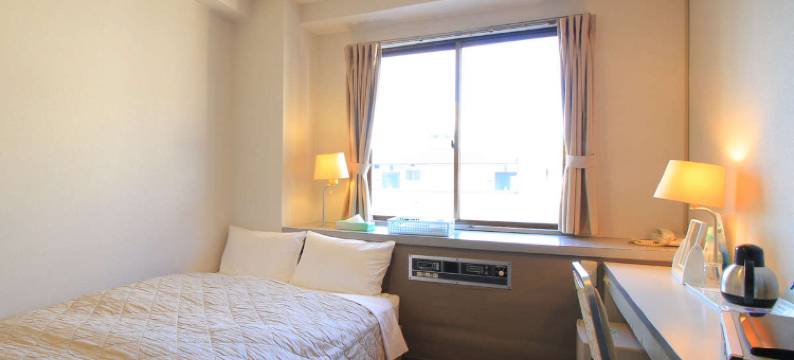 延冈华盛顿酒店(Nobeoka Washington Hotel)图片