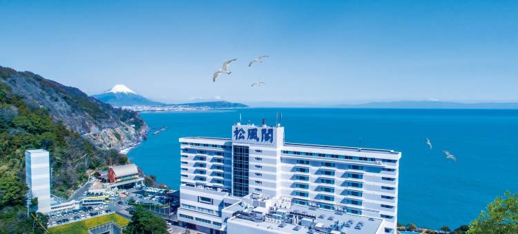 安比亚松风阁酒店(Hotel Ambia Shofukaku)图片