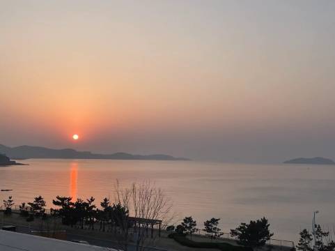 海棠民宿(威海国际海水浴场火炬八街店)图片