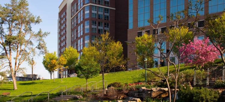 圣路易斯克莱顿万豪居家酒店(Residence Inn St. Louis Clayton)图片