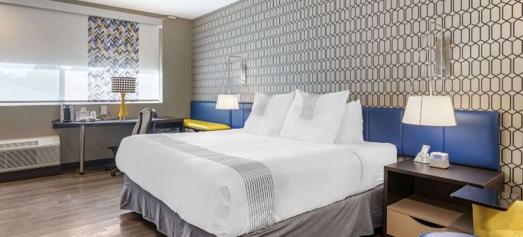 萨凡纳门户I-95贝斯特韦斯特格洛酒店(GLo Best Western  Savannah-Gateway I-95)图片