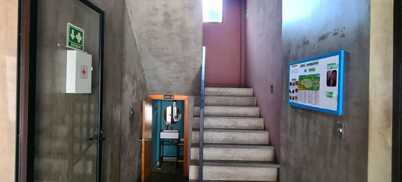 莫莫特斯酒店(Hotel Momotus Tuxtla, en El Centro - Acceso autónomo)图片