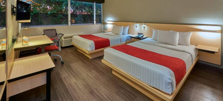 万豪城市快捷酒店萨尔蒂洛北部(City Express by Marriott Saltillo Norte)图片