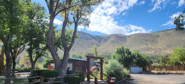 托亚比汽车旅馆(Toiyabe Motel)图片