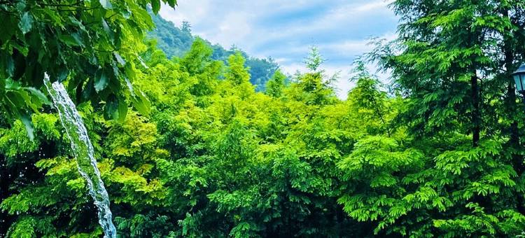 安吉梅溪适园民宿图片