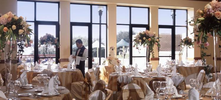 达拉斯-沃斯堡国际机场凯悦丽景湾酒店(Hyatt Regency DFW International Airport)图片