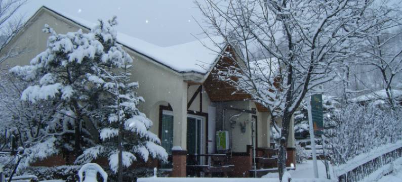 平昌现代度假村(Pyeongchang Hyundai Village)图片