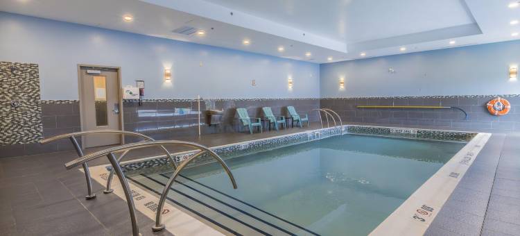Holiday Inn Express 多伦多北约克(Holiday Inn Express TORONTO-NORTH YORK by IHG)图片