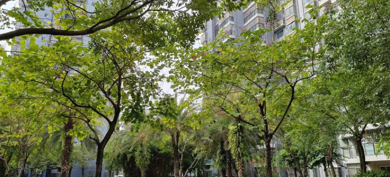 清轩丽奢公寓(欢歌路分店)图片