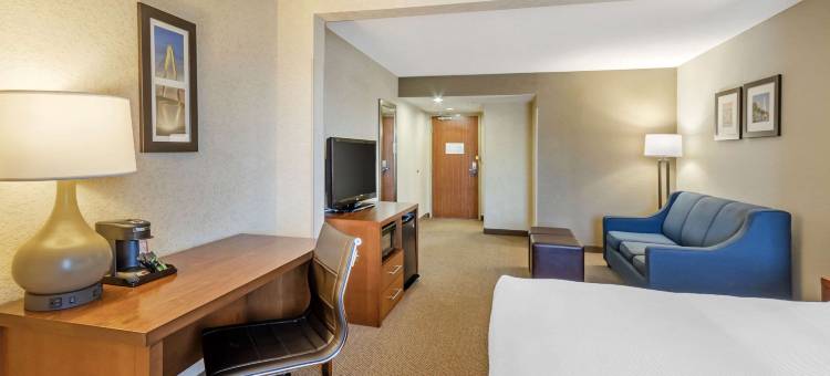 机场会议中心舒适套房酒店(Comfort Inn & Suites Airport Convention Center)图片