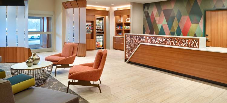 万豪春丘田纳西阿灵顿酒店(SpringHill Suites Arlington TN)图片