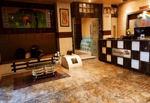 Hotel Bhagwani Palace Hotel Overview