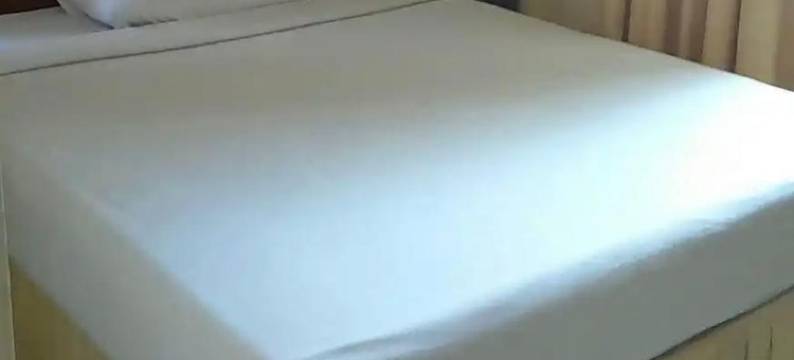 阿奇霍特尔2(Hotel Archie 2)图片