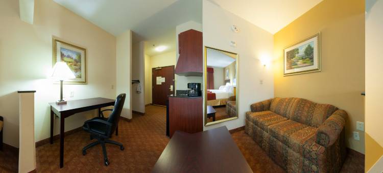 智选假日套房酒店邓肯维尔 by IHG(Holiday Inn Express & Suites Dallas - Duncanville)图片