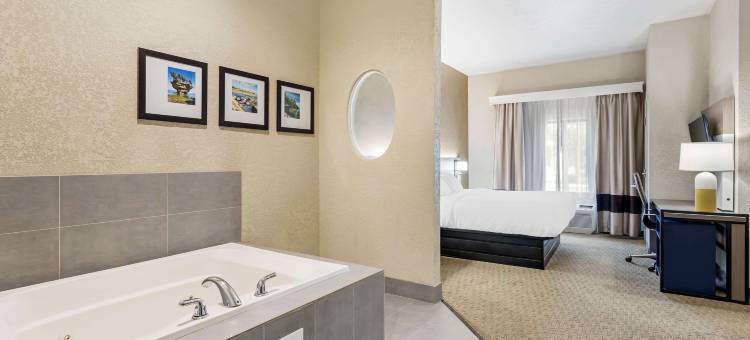 梅里尔维尔舒适套房酒店 - 近 US 30(Comfort Suites Merrillville Near US 30)图片