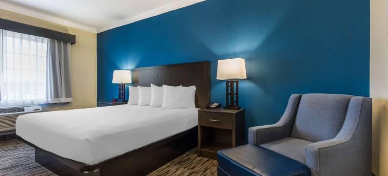 恐龙谷贝斯特韦斯特套房酒店(Best Western Dinosaur Valley Inn  Suites)图片