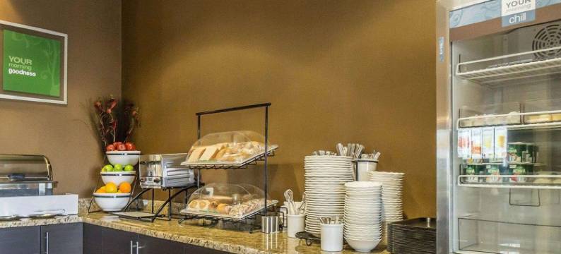 舒适套房酒店-埃德蒙顿国际机场(Comfort Inn & Suites Edmonton International Airport)图片