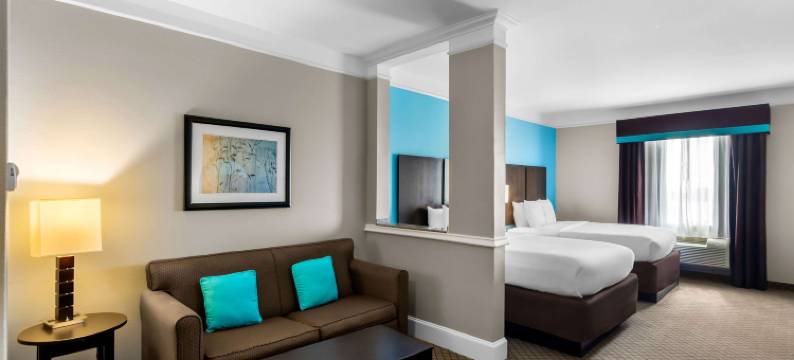 卡蒂舒适套房酒店(Comfort Suites at Katy Mills)图片