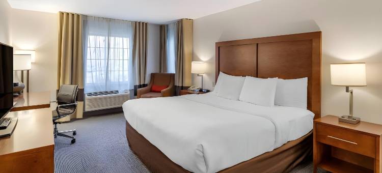 咆哮叉河卡本戴尔舒适套房酒店(Comfort Inn & Suites Carbondale on the Roaring Fork)图片
