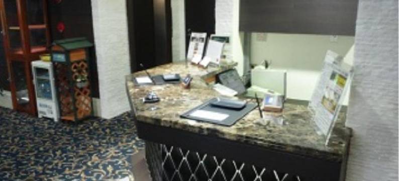 调布诺布斯酒店(Hotel Nobes Chofu)图片