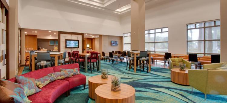 奥兰多莱克布纳维斯塔南SpringHill Suites 酒店(SpringHill Suites Orlando Lake Buena Vista South)图片