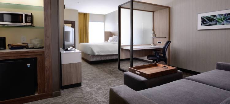 圣安东尼奥西北里姆SpringHill Suites酒店(SpringHill Suites San Antonio Northwest at the Rim)图片