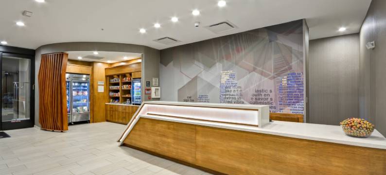 辛辛那提布鲁艾施SpringHill Suites酒店(SpringHill Suites Cincinnati Blue Ash)图片