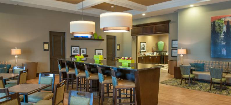 希尔顿欢朋套房酒店-新奥尔良爱姆伍德(Hampton Inn & Suites New Orleans-Elmwood/Clearview Parkway Area)图片