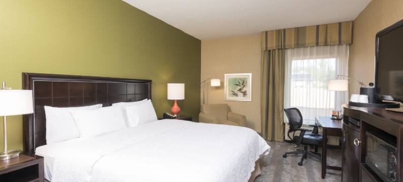 希尔顿欢朋酒店-休伦港(Hampton Inn Port Huron)图片