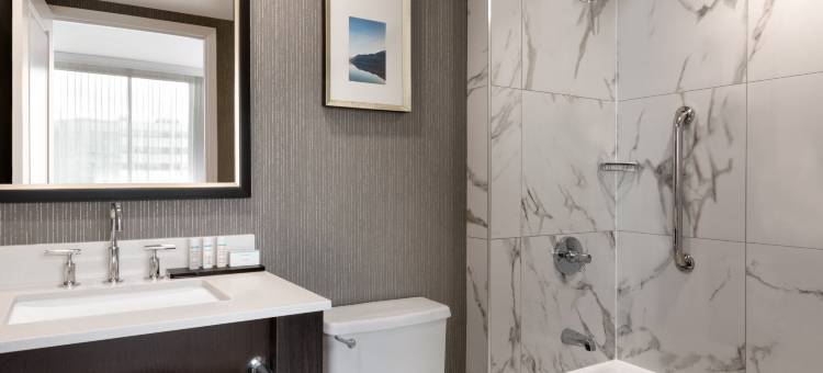 蒙特利尔机场希尔顿大使套房酒店(Embassy Suites by Hilton Montreal Airport)图片