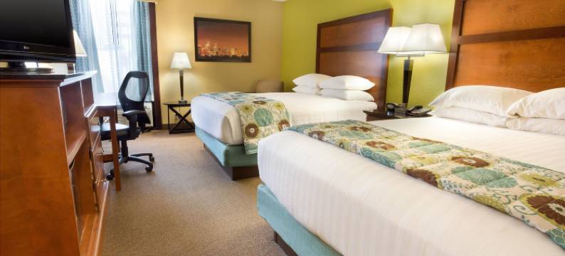 休斯顿加勒里亚德鲁里套房酒店(Drury Inn & Suites Houston Galleria)图片