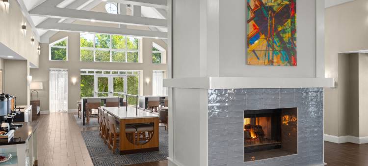 亚特兰大阿尔普哈雷塔Homewood Suites by Hilton(Homewood Suites by Hilton Atlanta - Alpharetta)图片