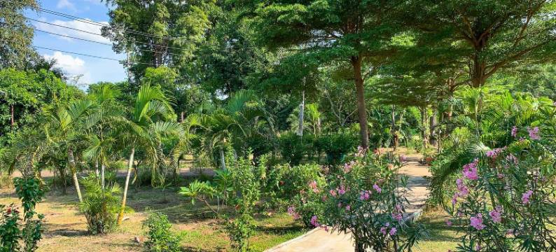乡村湖天然酒店(The Country Lake Nature Lodge Hotel)图片