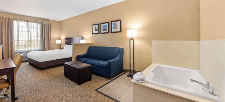 罗阿诺克-北沃斯堡舒适全套房酒店(Comfort Suites Roanoke - Fort Worth North)图片