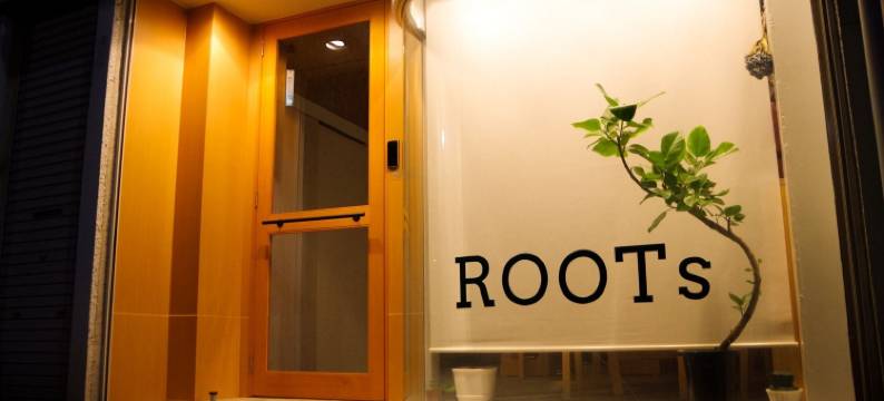 旅行者之家根酒店(Travelers' House Roots)图片