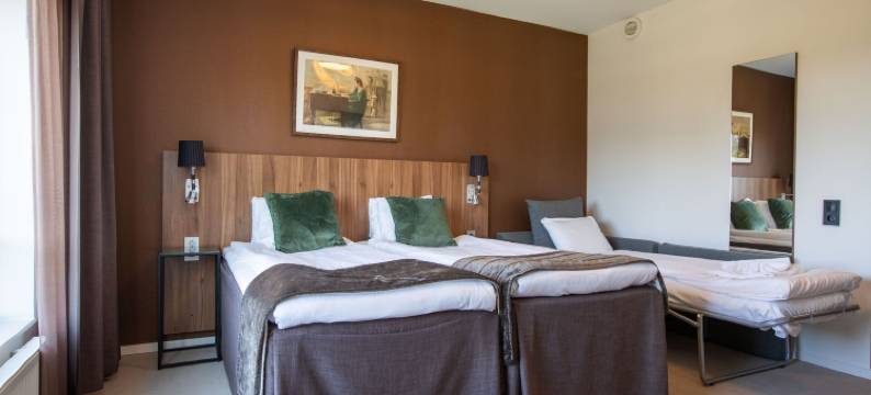 斯卡拉空斯酒店(Skara Konsthotell)图片