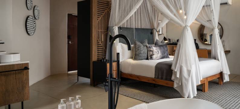 Leopard Sands, Kruger Park图片