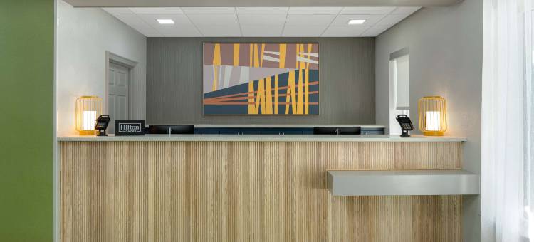 希尔顿德斯廷 Spark(Spark by Hilton Destin)图片