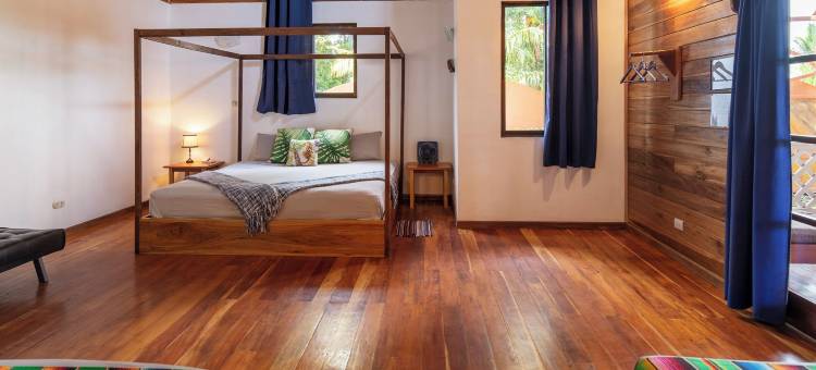 潘吉亚旅馆(Pangea Lodge)图片