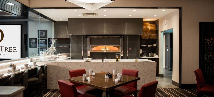 康涅狄格州布里斯托希尔顿逸林酒店(DoubleTree by Hilton Bristol)图片