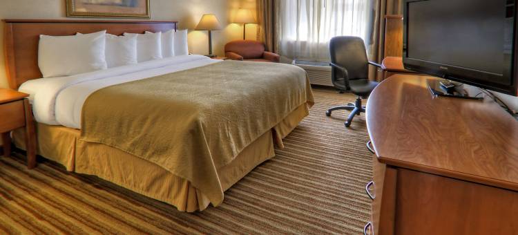 凯艺套房酒店(Quality Inn & Suites)图片