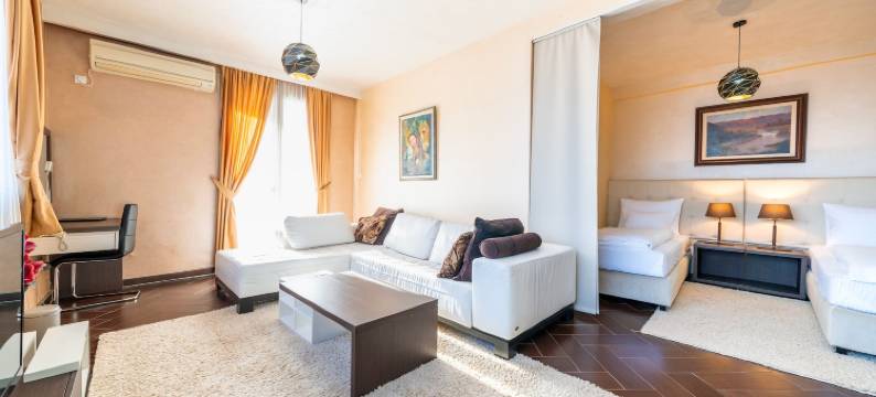 亚历山大卢克斯酒店(Hotel Alexandar Lux)图片