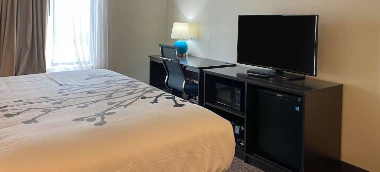 舒眠酒店及套房 - 竞技场区(Sleep Inn Greensboro - Coliseum Area)图片