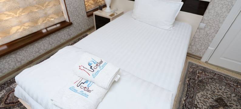 Saroy宫殿酒店(Saroy Palace Hotel)图片