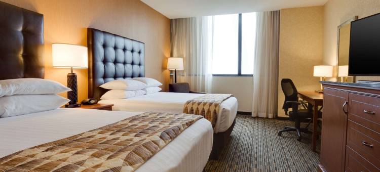 圣路易斯拱门德鲁里广场酒店(Drury Plaza St. Louis at the Arch)图片