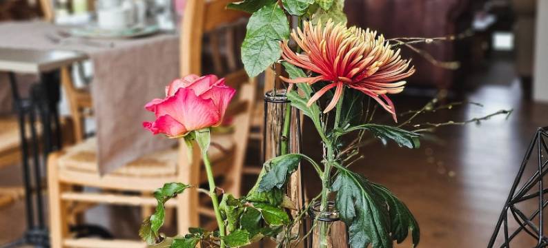 梦境精品B&B(Boutique B&B Droomkerke)图片