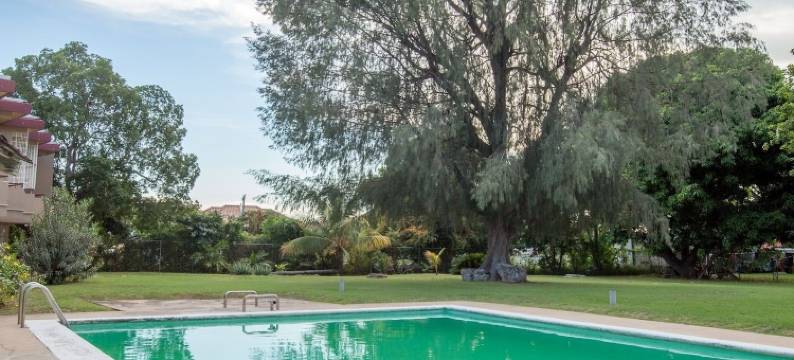 西摩新金斯敦旅客公寓酒店(New Kingston Guest Apartments at Seymour)图片