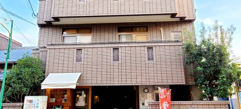 常春藤宾馆(Guesthouse Ivy)图片