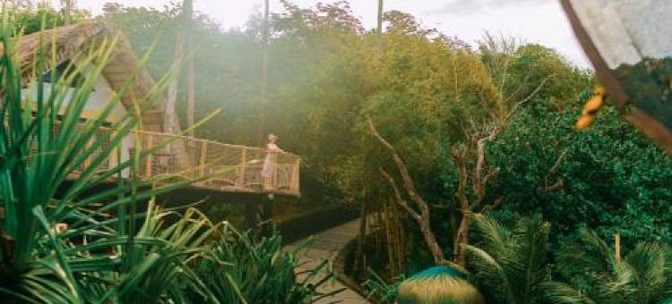 BUTTERFLY BEACH RESORT图片