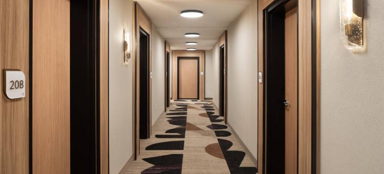 希尔顿花园酒店格林维尔大学(Hilton Garden Inn Greenville University Area)图片